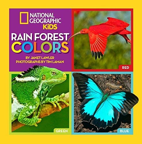 Rainforest Colors